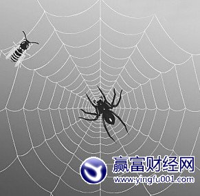 ʧȥÿɰ 10Спɹʮؾ(5)