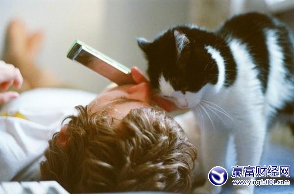 Ӱ����������10�仰 �ı������������������(4)