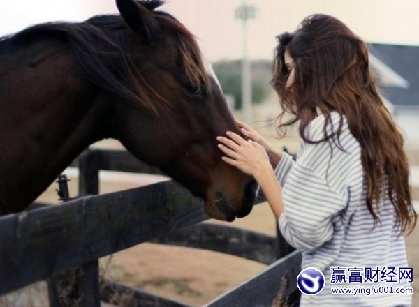 Ӱ����������10�仰 �ı������������������(5)