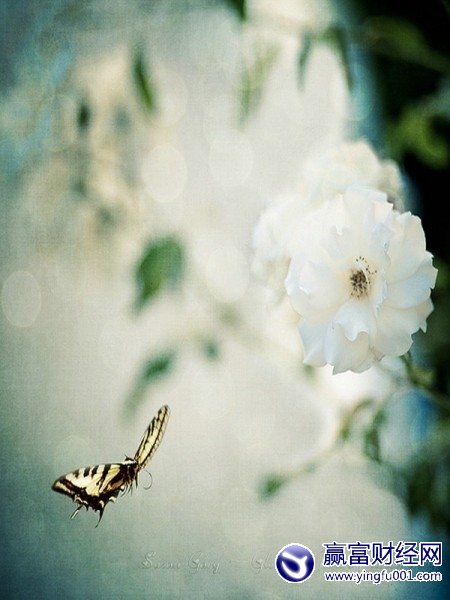 ɹ30ǰӦɵЩ ҵԶһ(6)