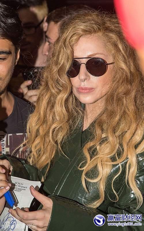 ͼLadyGagaԢ˿Ӱǻ(5)